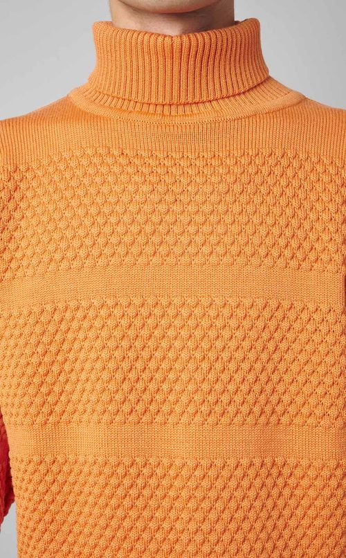 ボーダーパターンタートルネックニット