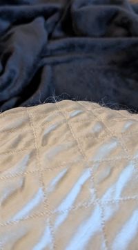 レビューイメージ