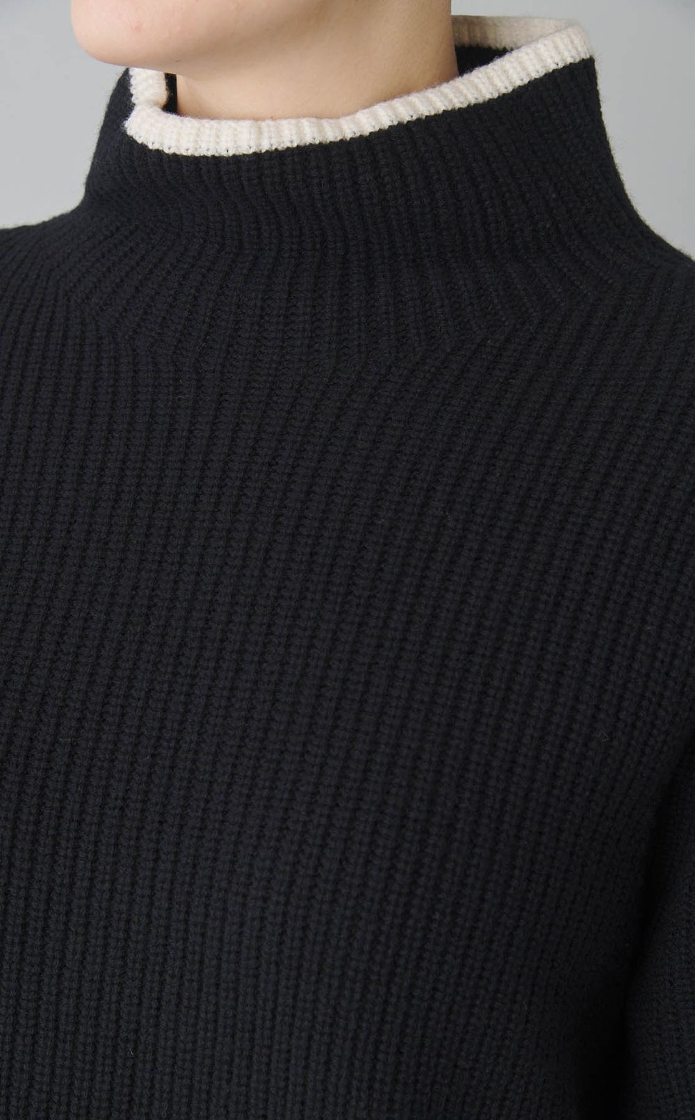 キャッシュウールリブタートル