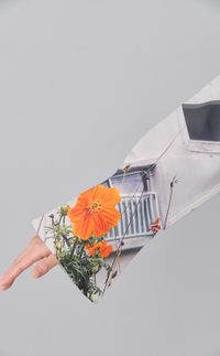 アイテムイメージ