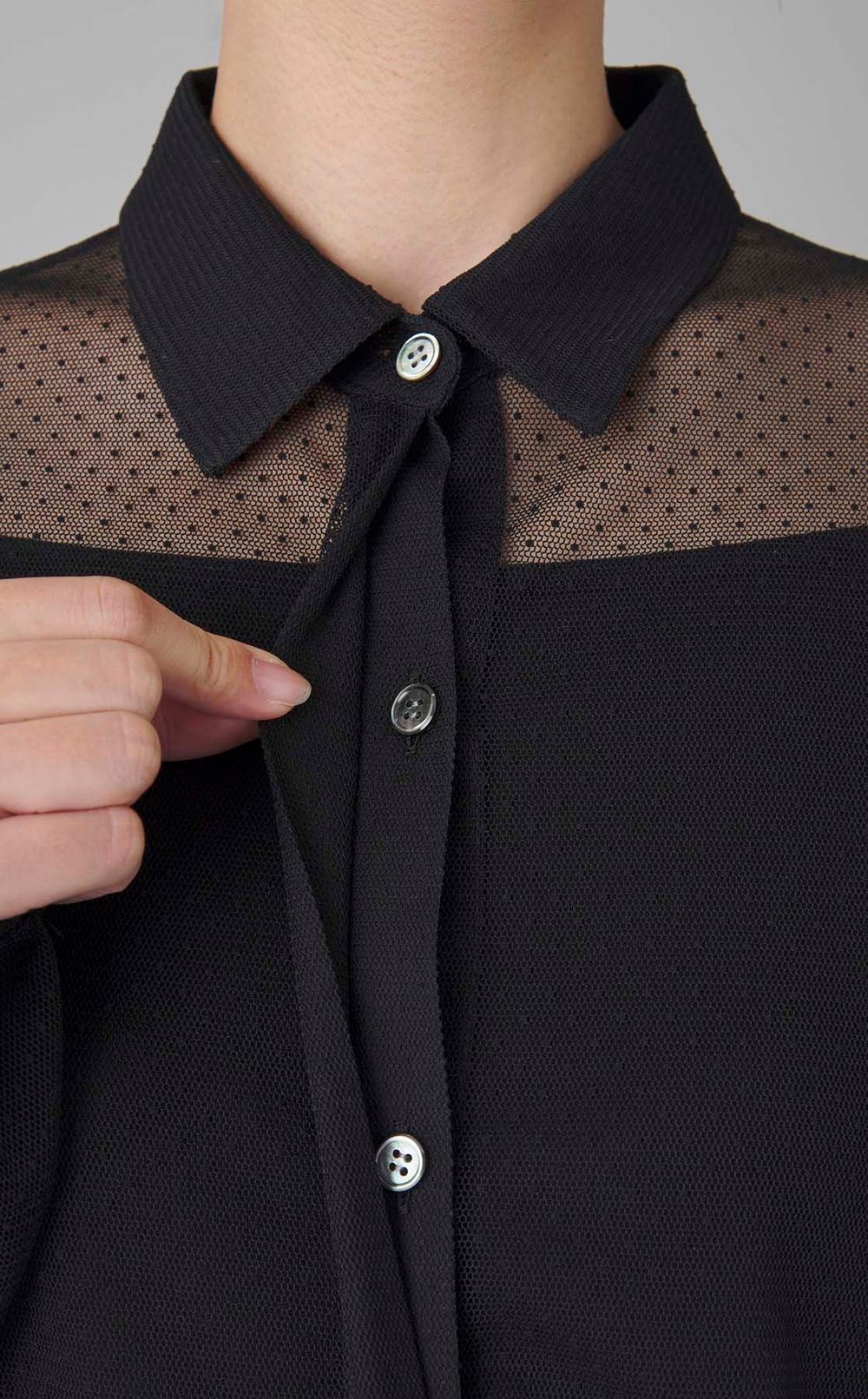 ボリュームスリーブシアーブラウス