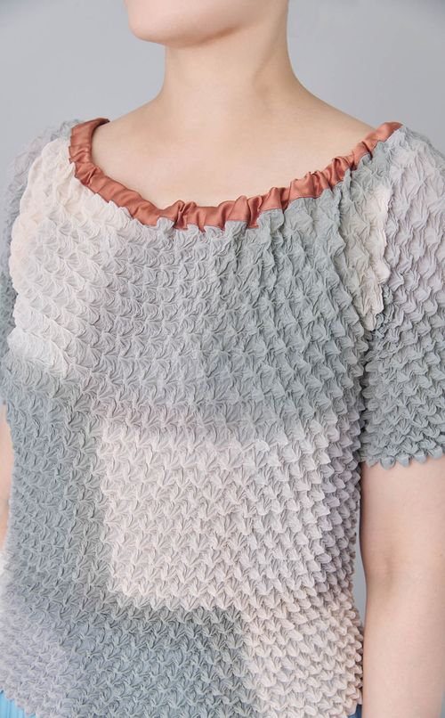 【roop】TOPS