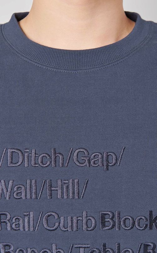 スケートセクションクルースウェット