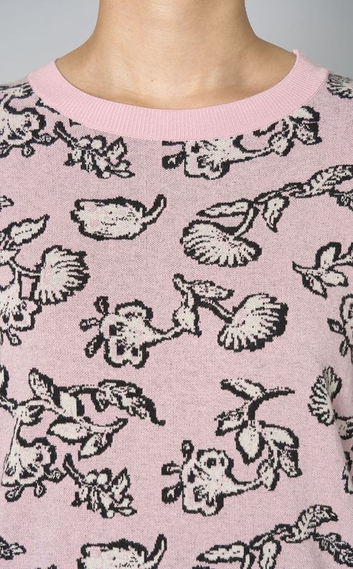 コットンジャガードショートスリーブニット