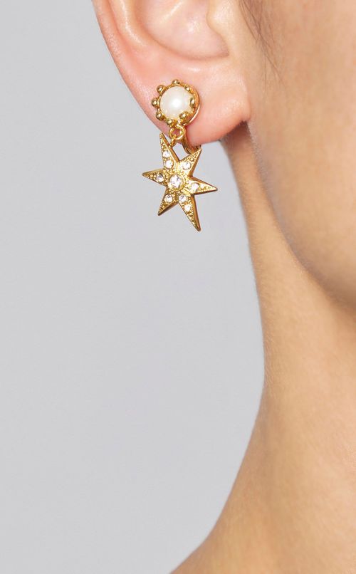 フラワーカボションスターイヤリング