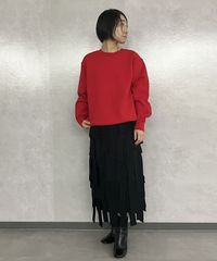 レビューイメージ