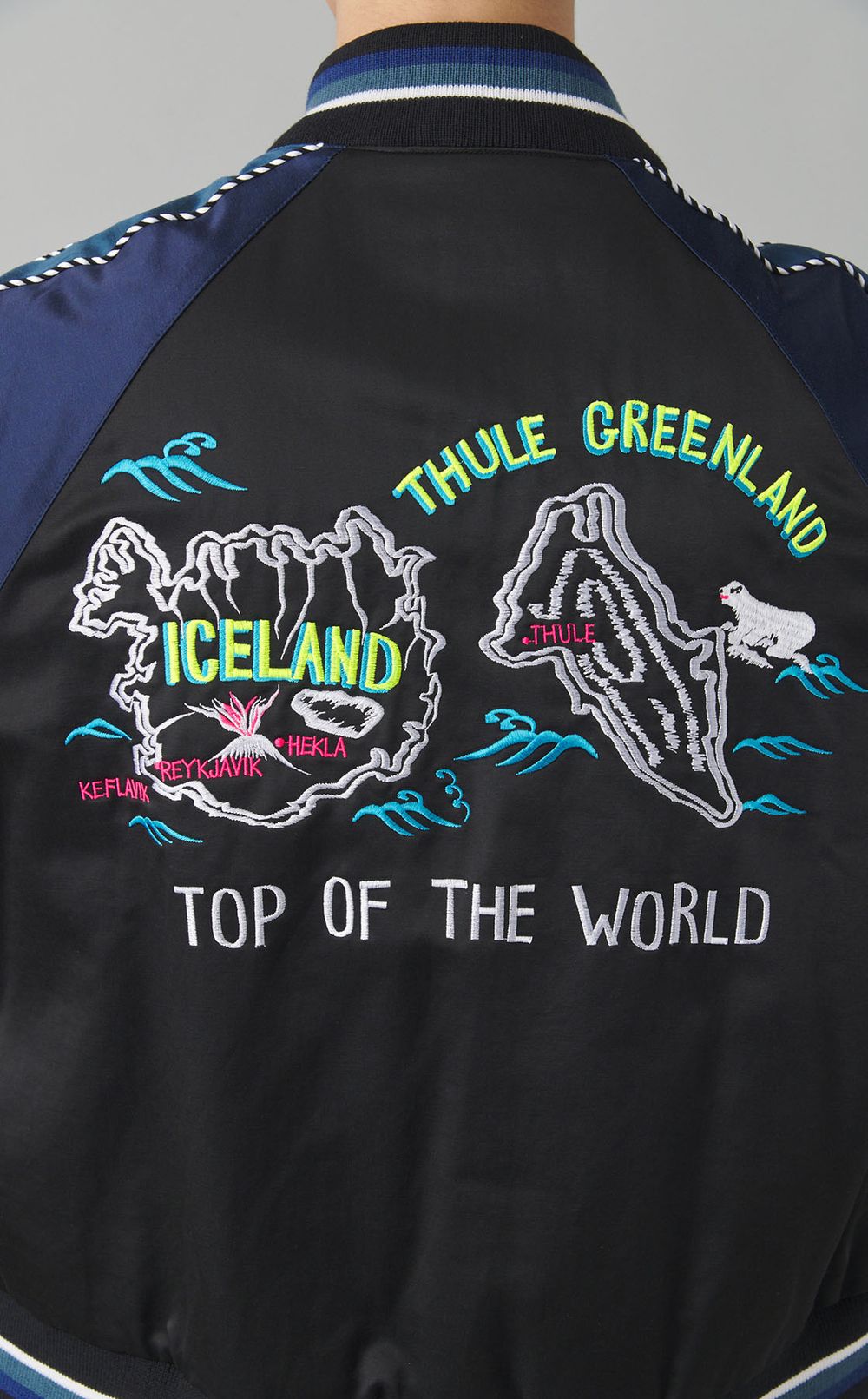 エンブロイダリースーベニアジャケット