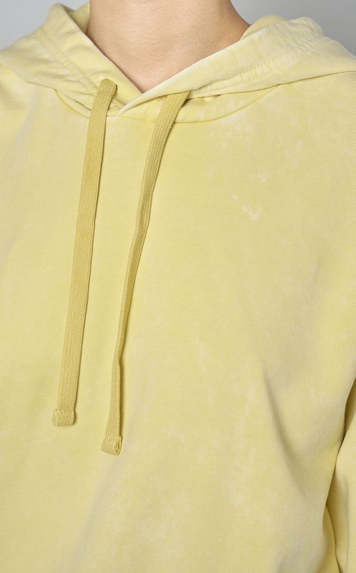 コットンフーディスウェット