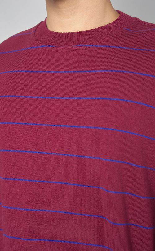 コットンボーダーニット