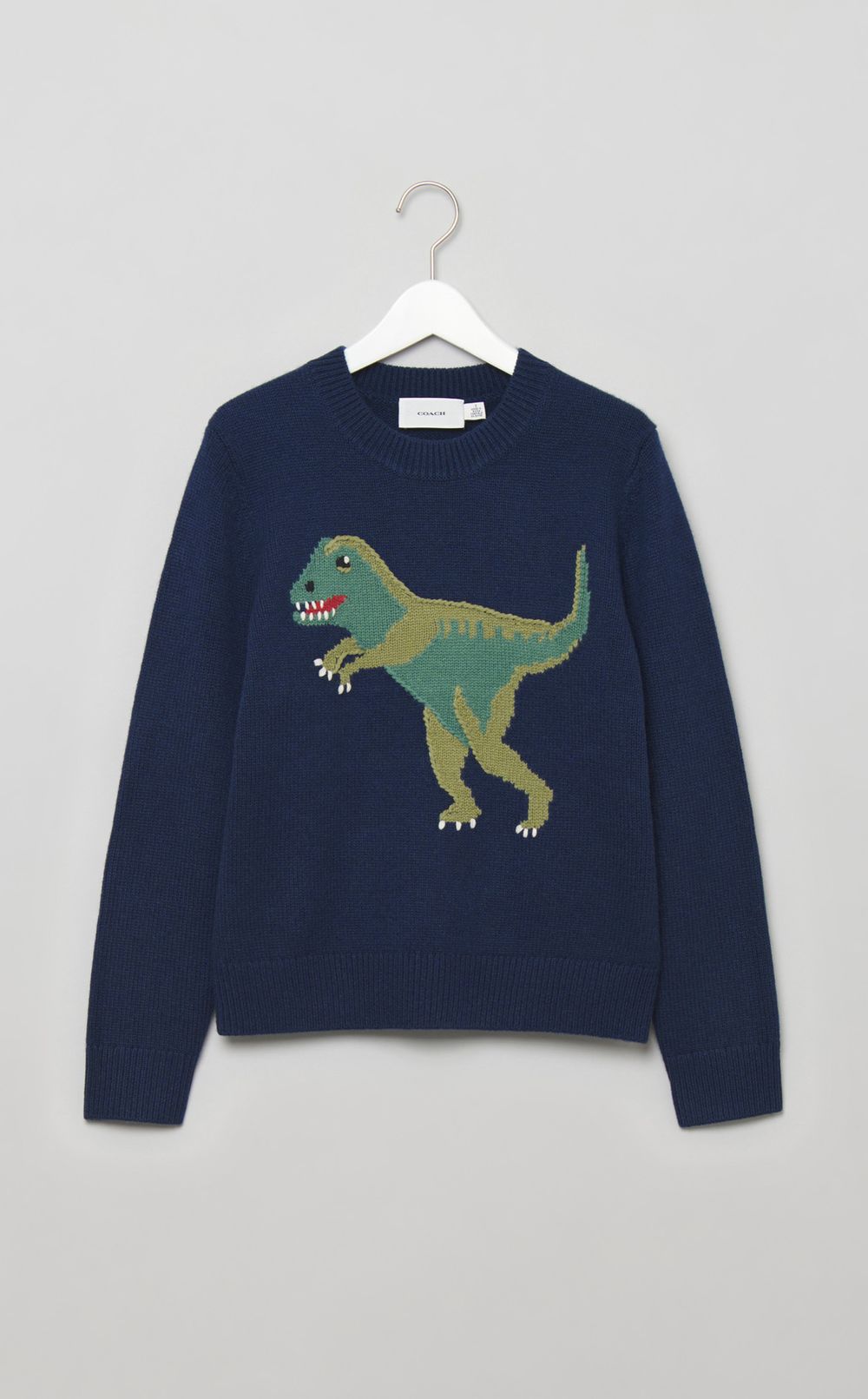 ダイナソーウールカシミヤニット