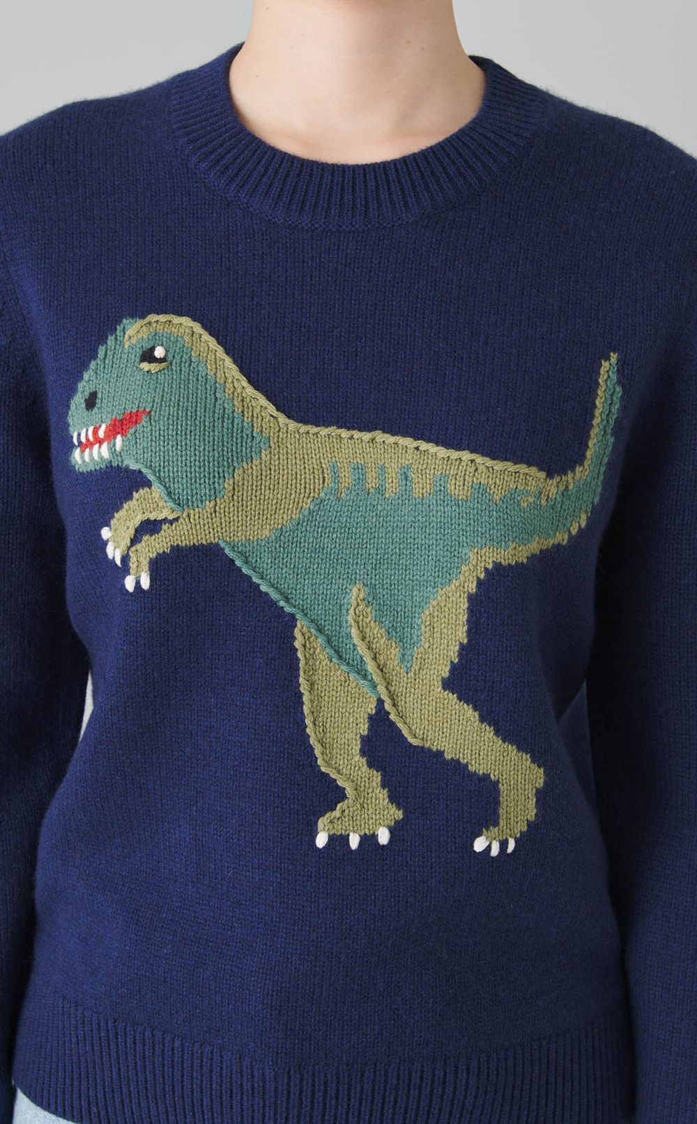 ダイナソーウールカシミヤニット