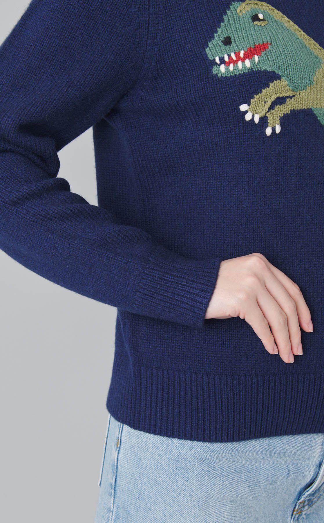 COACH｜ダイナソーウールカシミヤニット