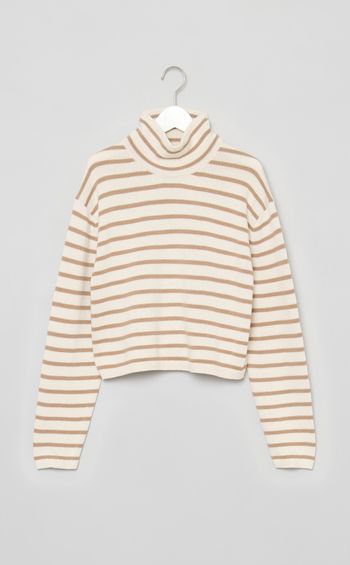 ボーダーハイネックニット