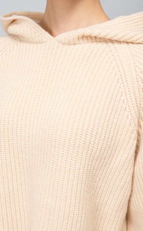 フーディニットプルオーバー